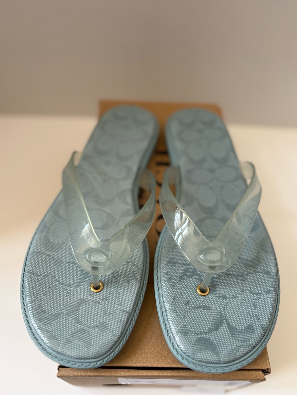 COACH Jelly Rubber Flip Flop Slip on Sandals Sea Mist New In Box Sz-8